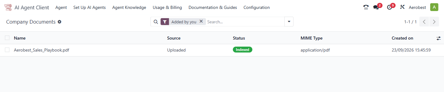 The Company Documents list under Agent Knowledge, Documents